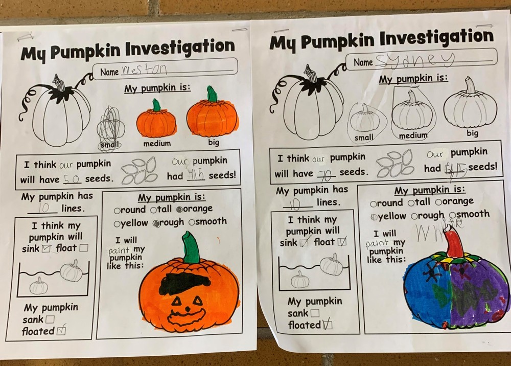 2nd Grade Pumpkin Investigation